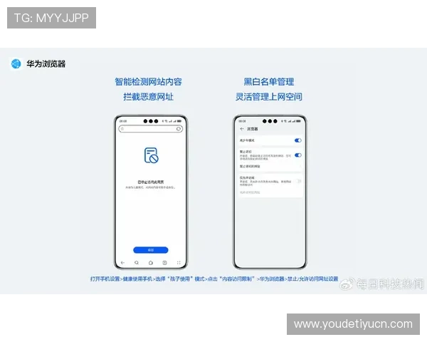蓝鲸网页版登录安全性分析及多重保护措施提升账号安全保障
