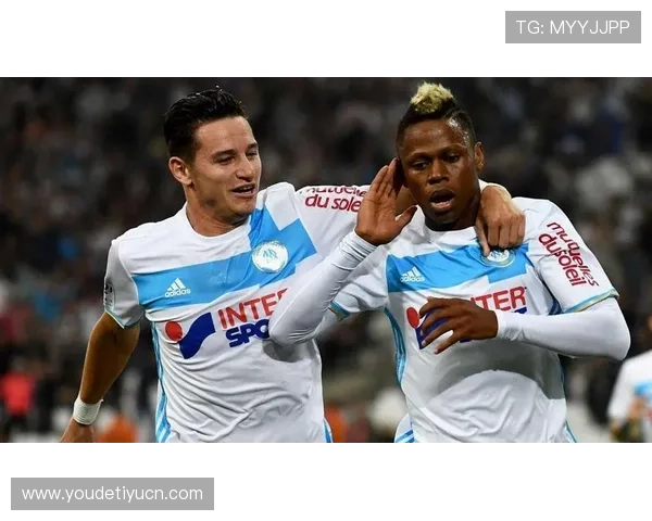 顶盛体育旗下赛事的高水平运作与成功案例分析